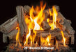 24inch western driftwood grand canyon gas logs burning yellow and orange flames on a 3 burner