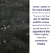 Close-up of a marble stone of an indoor wall fountain with text explaining lighting and natural variations.